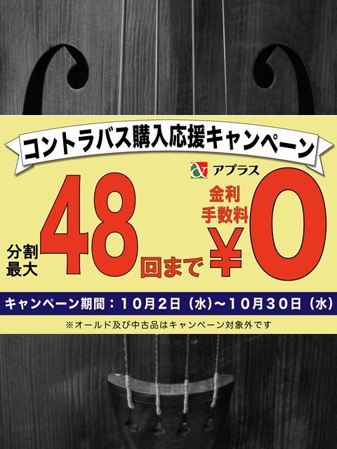 画像: お知らせ　コントラバス購入応援キャンペーンのご案内